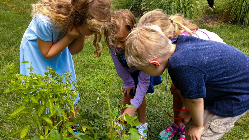 montessori schools ohio