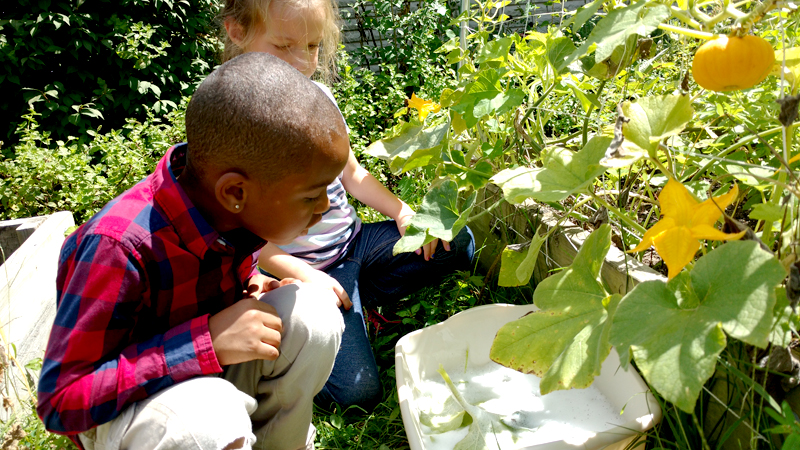montessori preschool dayton