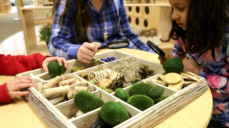 dayton montessori schools